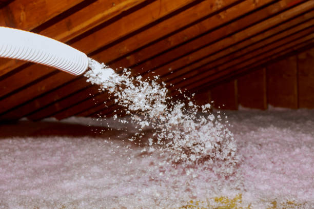 Best Spray Foam Insulation in Lake City, IA