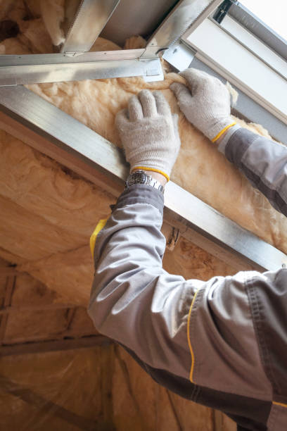 Best Commercial Insulation in Lake City, IA