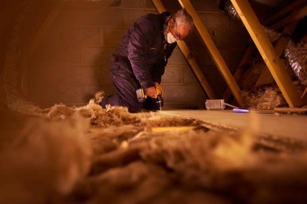 Best Residential Insulation in Lake City, IA